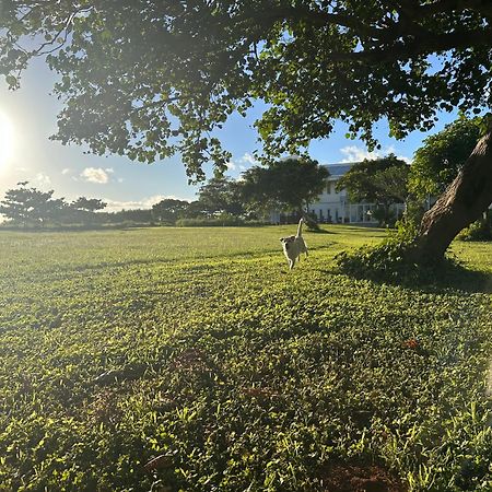Kenting Comic B&B&Spring Хенгчун Экстерьер фото